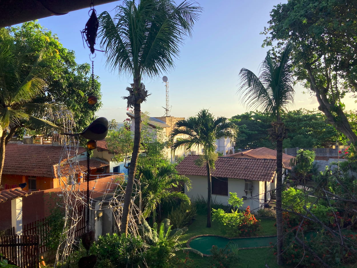 A photo of the view from our backyard